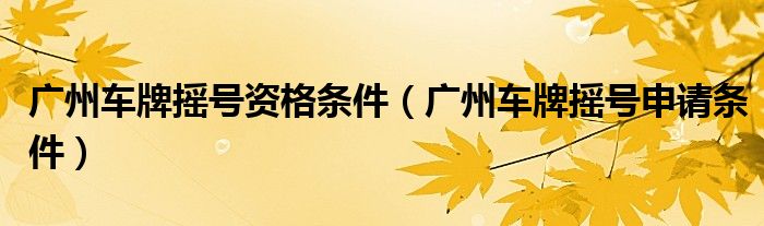 廣州車牌搖號(hào)資格條件（廣州車牌搖號(hào)申請(qǐng)條件）