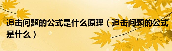追擊問題的公式是什么原理（追擊問題的公式是什么）