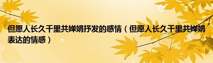 但愿人長久千里共嬋娟抒發(fā)的感情（但愿人長久千里共嬋娟表達(dá)的情感）