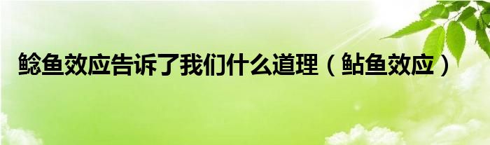 鯰魚效應(yīng)告訴了我們什么道理（鲇魚效應(yīng)）