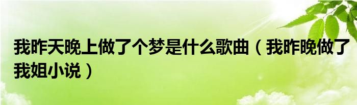 我昨天晚上做了個(gè)夢(mèng)是什么歌曲（我昨晚做了我姐小說）