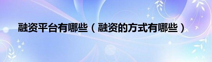 融資平臺有哪些（融資的方式有哪些）