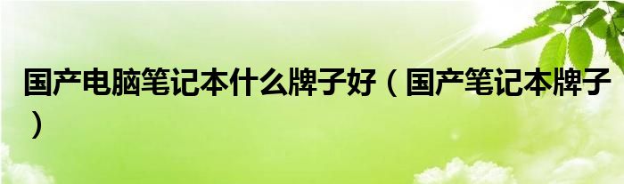 國(guó)產(chǎn)電腦筆記本什么牌子好（國(guó)產(chǎn)筆記本牌子）