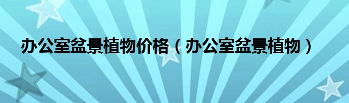辦公室盆景植物價(jià)格（辦公室盆景植物）