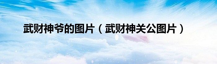 武財(cái)神爺?shù)膱D片（武財(cái)神關(guān)公圖片）