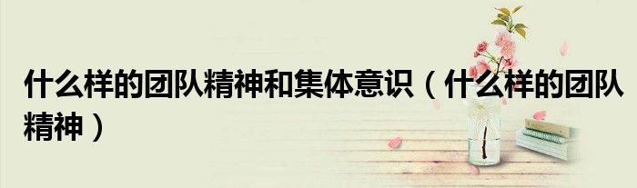 什么樣的團(tuán)隊(duì)精神和集體意識(shí)（什么樣的團(tuán)隊(duì)精神）