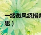 一縷微風(fēng)繞指柔是什么意思（繞指柔是什么意思）