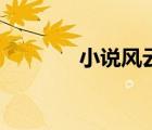 小說風(fēng)云榜單（小說風(fēng)云榜）