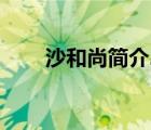 沙和尚簡(jiǎn)介20字左右（沙和尚簡(jiǎn)介）