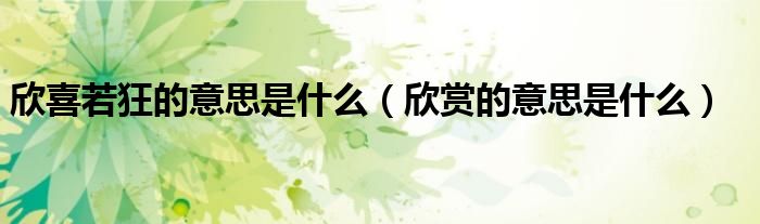 欣喜若狂的意思是什么（欣賞的意思是什么）