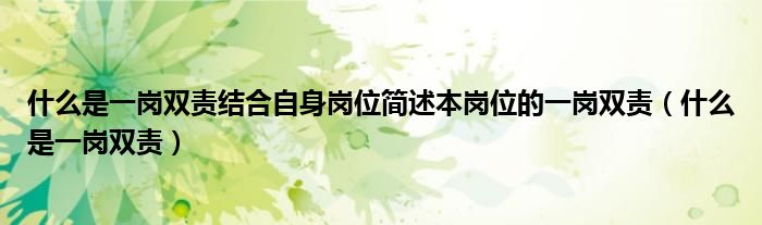 什么是一崗雙責(zé)結(jié)合自身崗位簡述本崗位的一崗雙責(zé)（什么是一崗雙責(zé)）