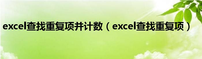 excel查找重復項并計數(shù)（excel查找重復項）