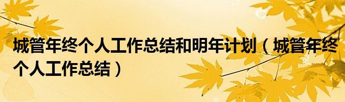 城管年終個(gè)人工作總結(jié)和明年計(jì)劃（城管年終個(gè)人工作總結(jié)）