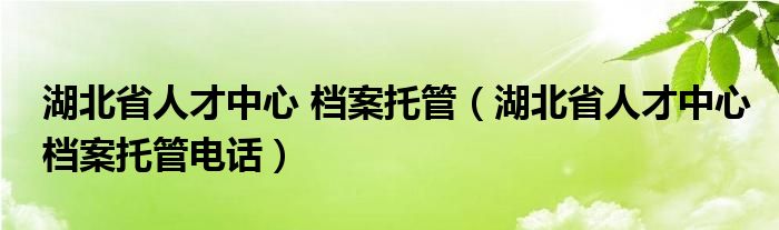 湖北省人才中心 檔案托管（湖北省人才中心檔案托管電話）