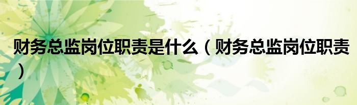 財(cái)務(wù)總監(jiān)崗位職責(zé)是什么（財(cái)務(wù)總監(jiān)崗位職責(zé)）