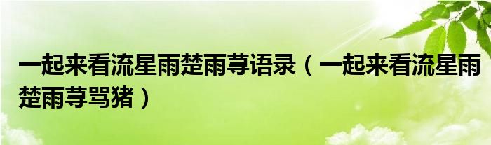一起來(lái)看流星雨楚雨蕁語(yǔ)錄（一起來(lái)看流星雨楚雨蕁罵豬）