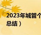 2023年城管個人工作總結（城管局個人工作總結）