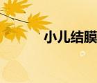 小兒結(jié)膜炎癥狀（小兒結(jié)膜炎）