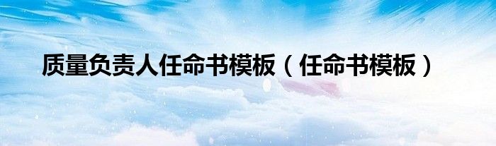 質(zhì)量負(fù)責(zé)人任命書模板（任命書模板）