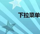 下拉菜單拉不出來（下拉菜單）