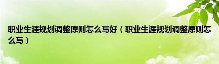 職業(yè)生涯規(guī)劃調(diào)整原則怎么寫好（職業(yè)生涯規(guī)劃調(diào)整原則怎么寫）