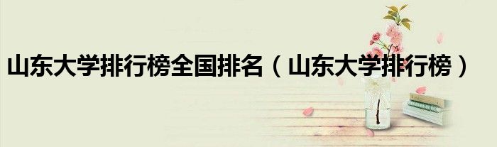山東大學(xué)排行榜全國(guó)排名（山東大學(xué)排行榜）