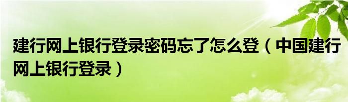 建行網(wǎng)上銀行登錄密碼忘了怎么登（中國建行網(wǎng)上銀行登錄）