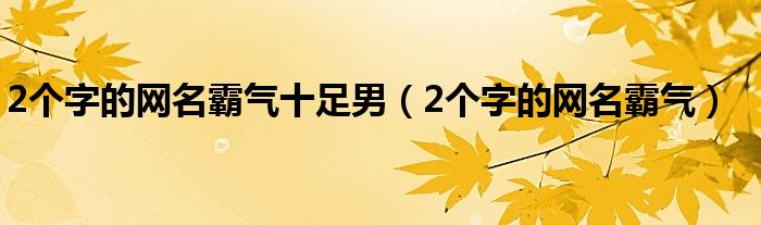 2個字的網(wǎng)名霸氣十足男（2個字的網(wǎng)名霸氣）