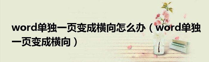 word單獨(dú)一頁變成橫向怎么辦（word單獨(dú)一頁變成橫向）