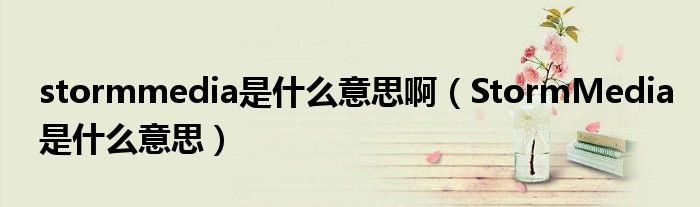 stormmedia是什么意思?。⊿tormMedia是什么意思）