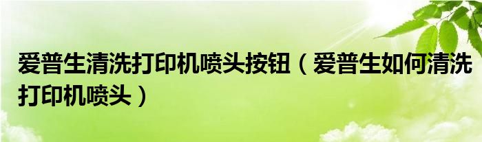 愛普生清洗打印機噴頭按鈕（愛普生如何清洗打印機噴頭）