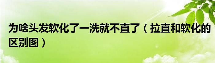 為啥頭發(fā)軟化了一洗就不直了（拉直和軟化的區(qū)別圖）