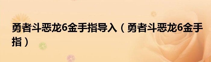 勇者斗惡龍6金手指導(dǎo)入（勇者斗惡龍6金手指）