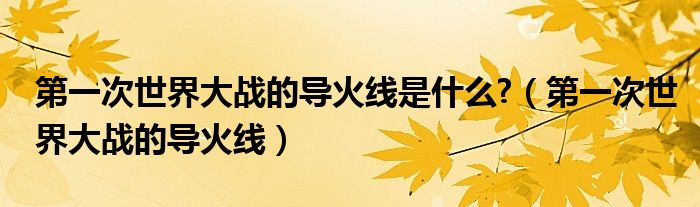 第一次世界大戰(zhàn)的導(dǎo)火線是什么?（第一次世界大戰(zhàn)的導(dǎo)火線）