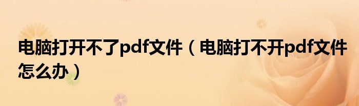 電腦打開(kāi)不了pdf文件（電腦打不開(kāi)pdf文件怎么辦）