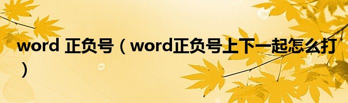 word 正負號（word正負號上下一起怎么打）
