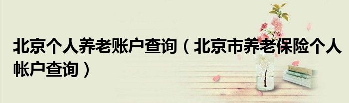 北京個人養(yǎng)老賬戶查詢（北京市養(yǎng)老保險(xiǎn)個人帳戶查詢）