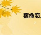 宿命戀人 知乎（宿命戀人）
