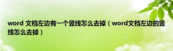 word 文檔左邊有一個(gè)豎線怎么去掉（word文檔左邊的豎線怎么去掉）
