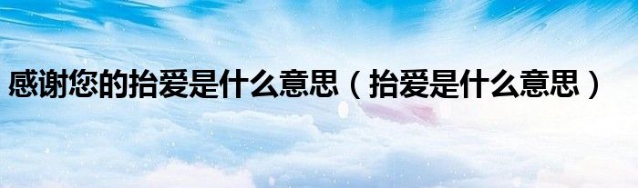 感謝您的抬愛是什么意思（抬愛是什么意思）