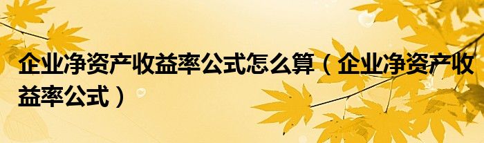 企業(yè)凈資產(chǎn)收益率公式怎么算（企業(yè)凈資產(chǎn)收益率公式）