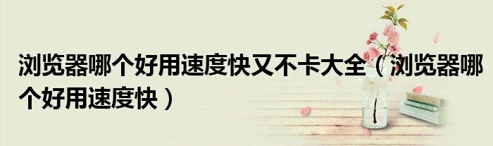 瀏覽器哪個好用速度快又不卡大全（瀏覽器哪個好用速度快）