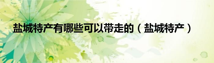鹽城特產(chǎn)有哪些可以帶走的（鹽城特產(chǎn)）