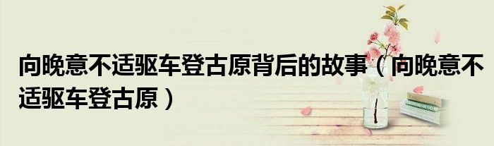 向晚意不適驅(qū)車登古原背后的故事（向晚意不適驅(qū)車登古原）