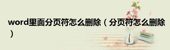word里面分頁(yè)符怎么刪除（分頁(yè)符怎么刪除）