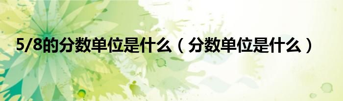 5/8的分?jǐn)?shù)單位是什么（分?jǐn)?shù)單位是什么）