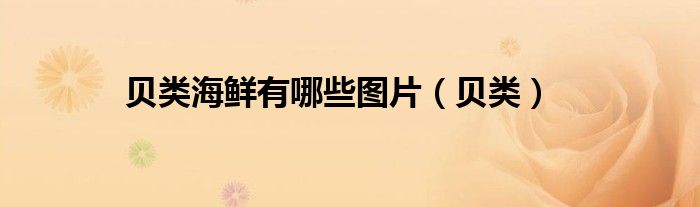 貝類海鮮有哪些圖片（貝類）
