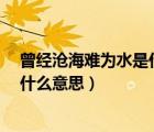 曾經(jīng)滄海難為水是什么意思解釋一下?（曾經(jīng)滄海難為水是什么意思）