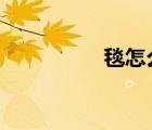 毯怎么讀（tan怎么讀）