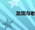 龍須溝老舍簡(jiǎn)介（龍須溝老舍）
